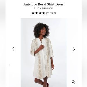Antelope Royal Shirt Dress size XXS